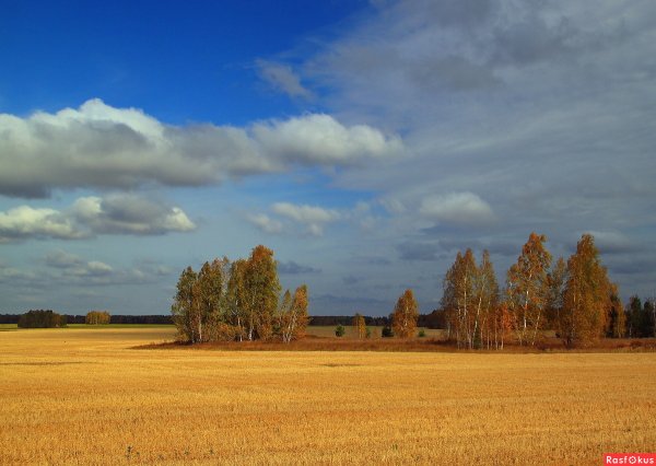 Природа Зауралья Курганская область