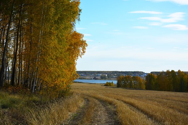 Зауралье Оренбург природа