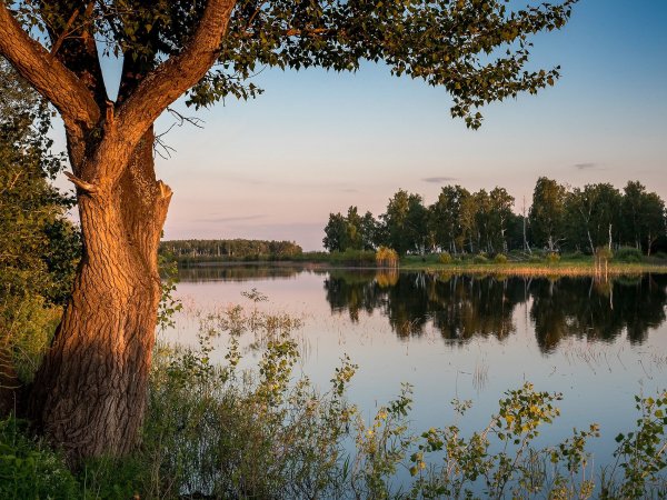 Пейзажи Зауралья Курганской обл
