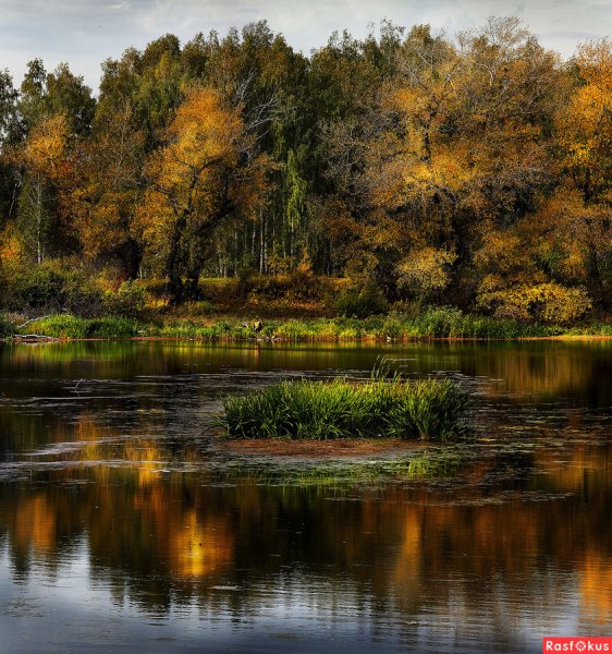Зауралье Курган природа