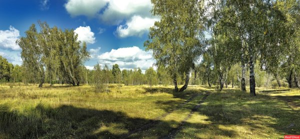 Природа Зауралья Курганская область