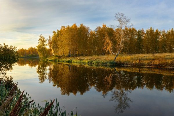 Зауралье Курган природа