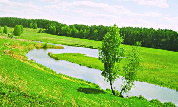 Природа Курганской области