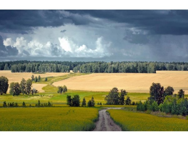 Природа Зауралья Курганская область