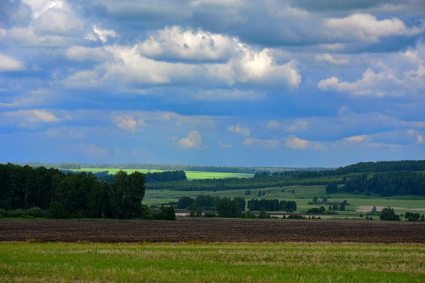 Зауралье Курган природа