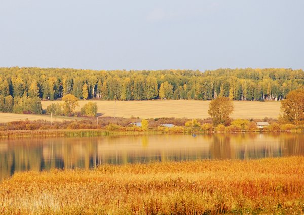 Природа Зауралья Курганская область