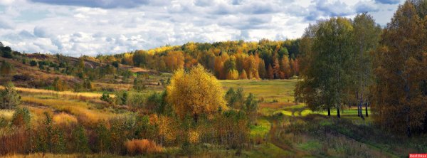 Природа Зауралья Курганская область