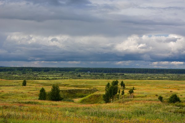 Природа Зауралья Курганская область лето