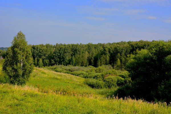 Курганская область пейзажи природы Курганская область