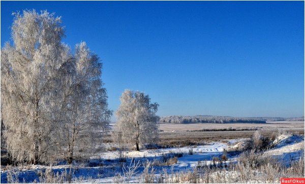 Осень в Зауралье фото