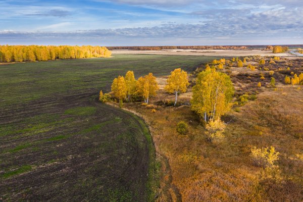 Природа Зауралья Курганская область лето