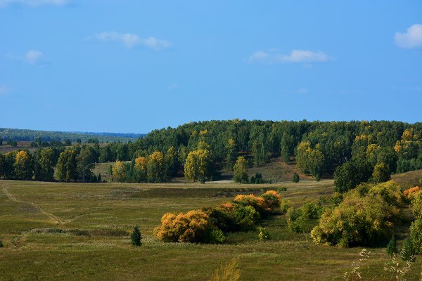 Зауралье Оренбург природа