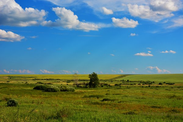 Зауралье Курганская область
