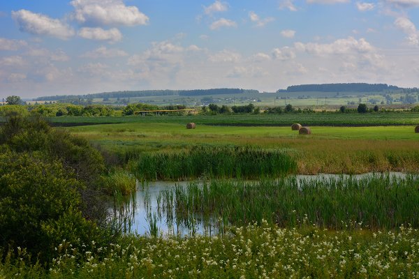 Природа Зауралья Курганская область