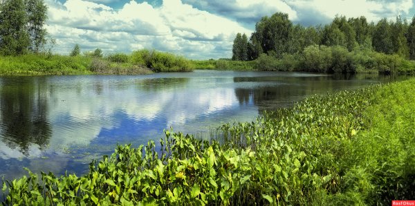 Курганская природа Курганской области
