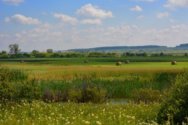 Природа Зауралья Курганская область