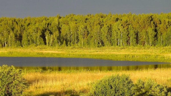 Зауралье Курганская область