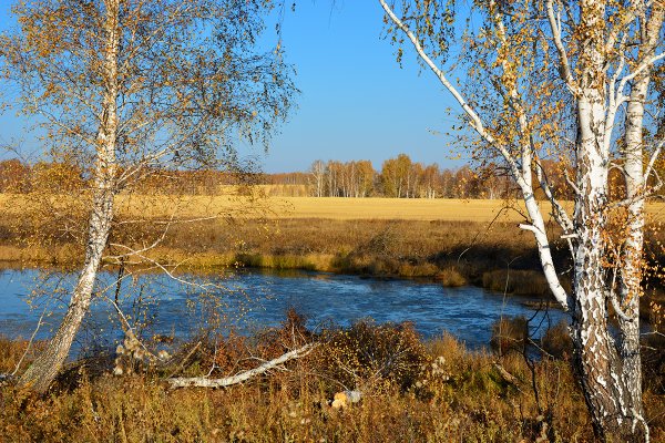 Курганская природа Курганской области