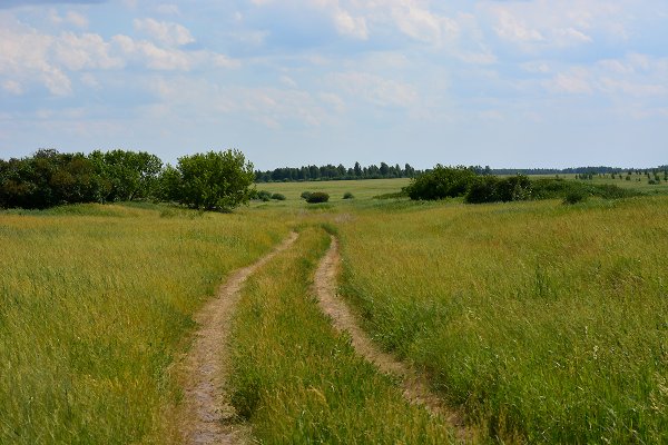 Зауралье Курган природа