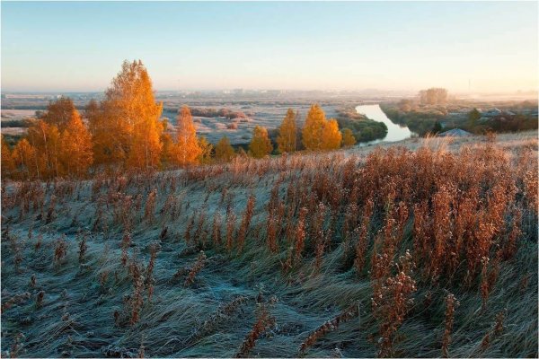 Поля Курганской области
