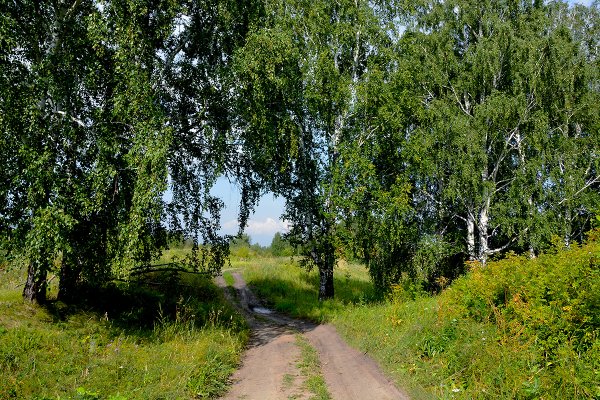 Река Куртамыш Курганская область