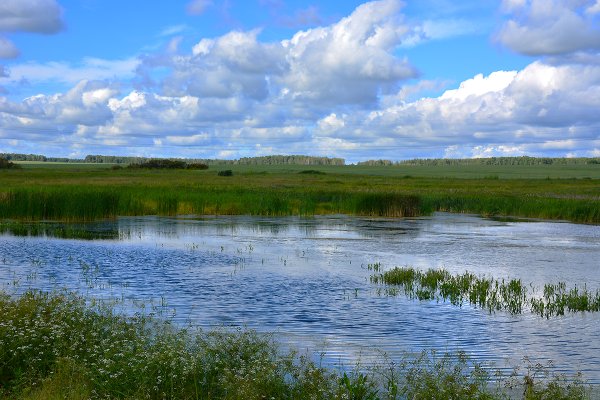 Зауральская природа