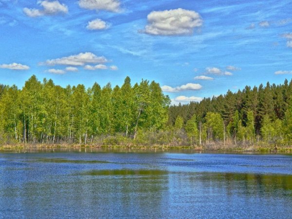 Зауралье Оренбург природа