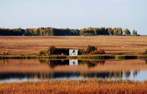 Природа Зауралья Курганская область