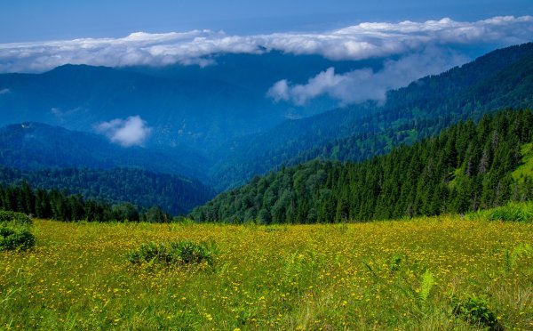 Тироль Австрия горы