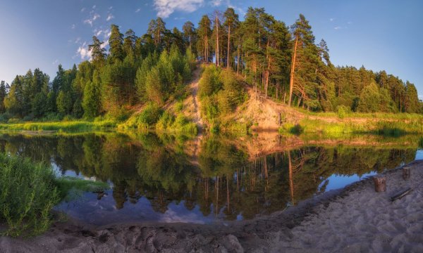 Нац парк Йосемити растения