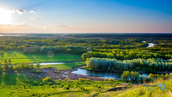 Лес Тайга река Вильва