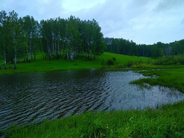 Чёрное озеро Щелковский район