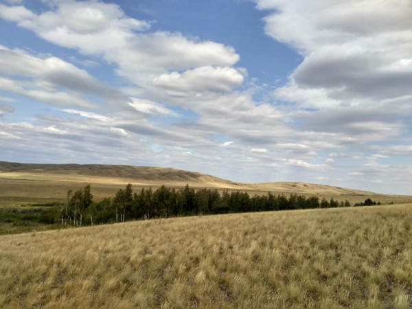 Оренбургские Буртинская степь
