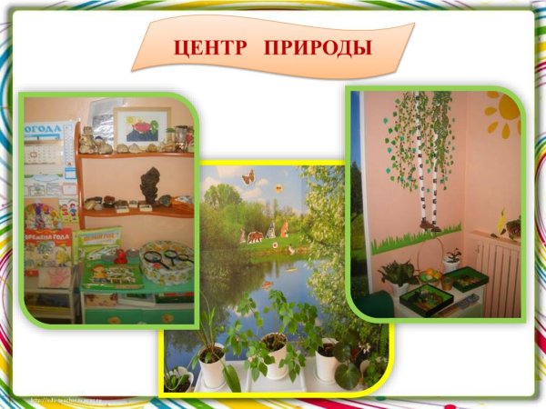 Центр природы в ДОУ название