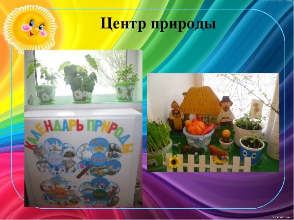 Центр природы в детском саду