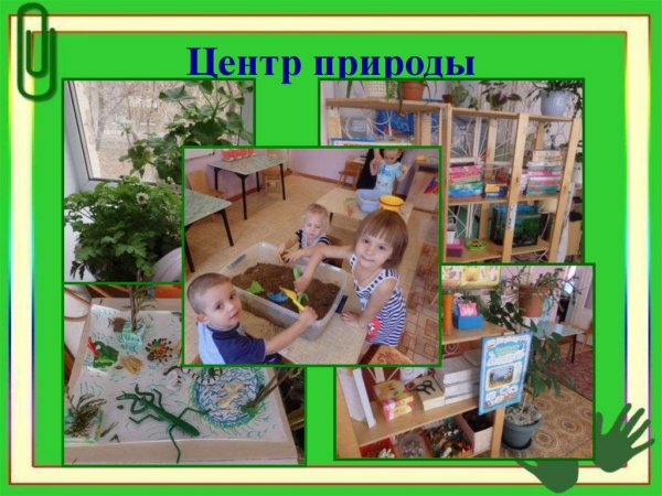 Центр природы в ДОУ