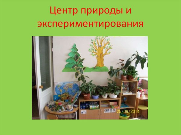 Мир природы в детском саду надпись