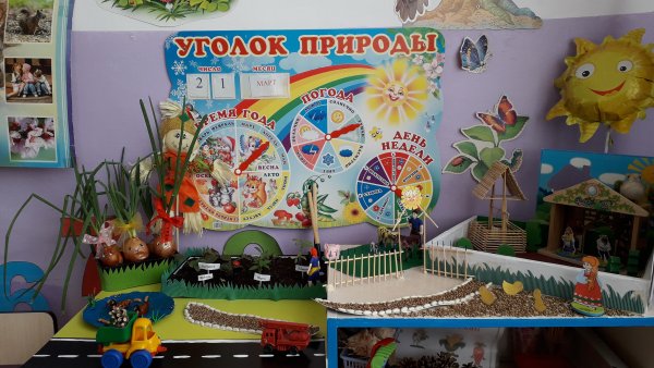 Уголок природы в детском саду