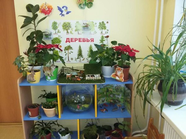 Краеведение для детей