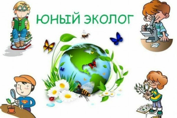 Календарь природы для детского сада
