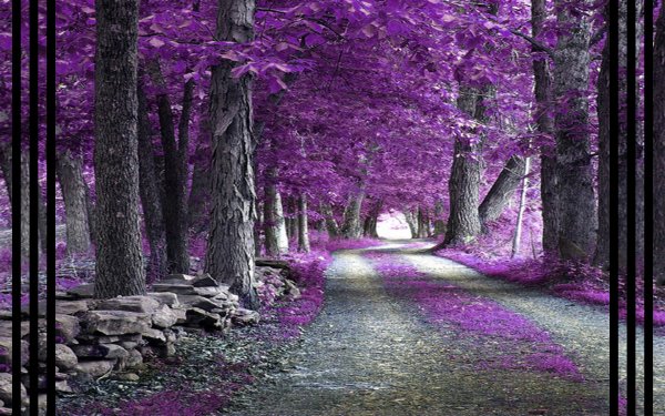 Фиолетовая природа