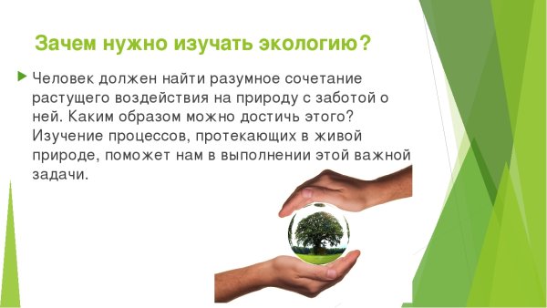 Береги природу для дошкольников