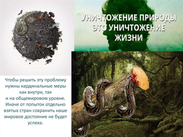 Уничтожение живой природы