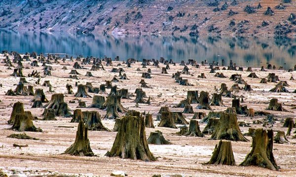 Национальный лес Уилламетт, Орегон, США
