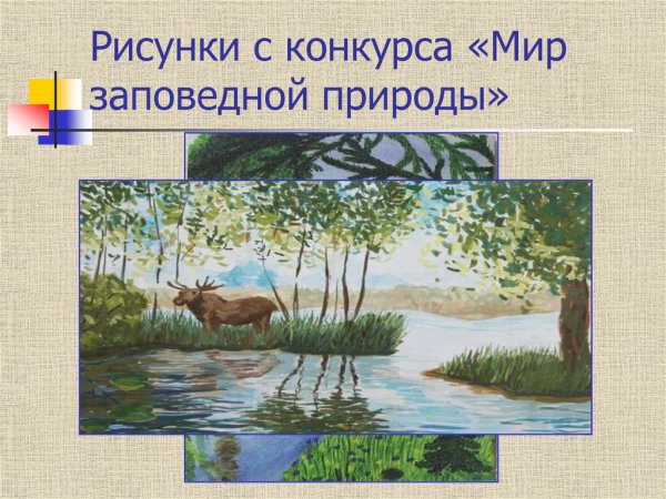 Что такое заповедник для детей