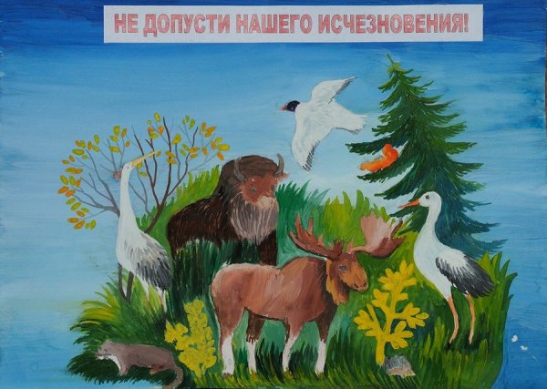 Национальный парк Вуд Баффало животный мир