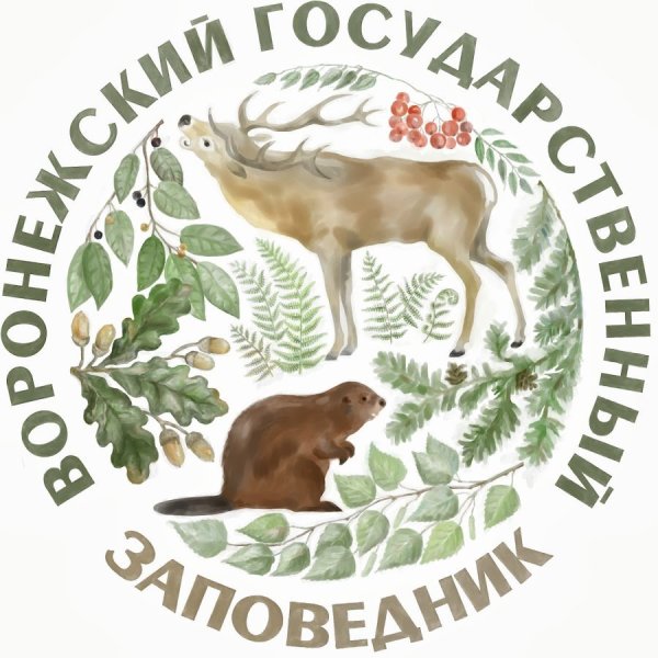 Национальный парк Башкирия животные