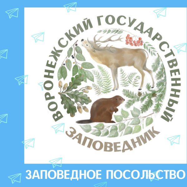 Мир заповедной природы фото