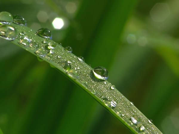 Макросъемка воды