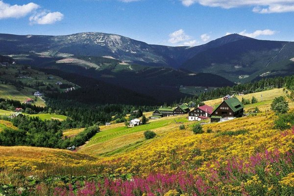 Климат Чехии